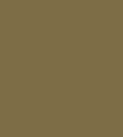 UV Colors | Olive Brown